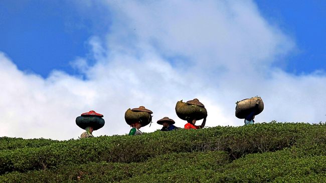 Dari kawasan Nanggung, wisatawan bisa menatap keindahan Gunung Salak sembari berwisata alam dan sejarah. 
