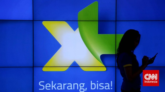 XL memiliki lebih dari 27 ribu BTS yang mendukung frekuensi 2,1 GHz dan sedang membangun lebih dari 11 ribu BTS 3G untuk frekuensi 900 MHz.