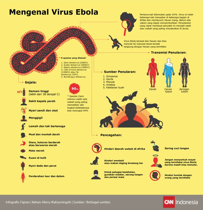 Mengenal Virus Ebola