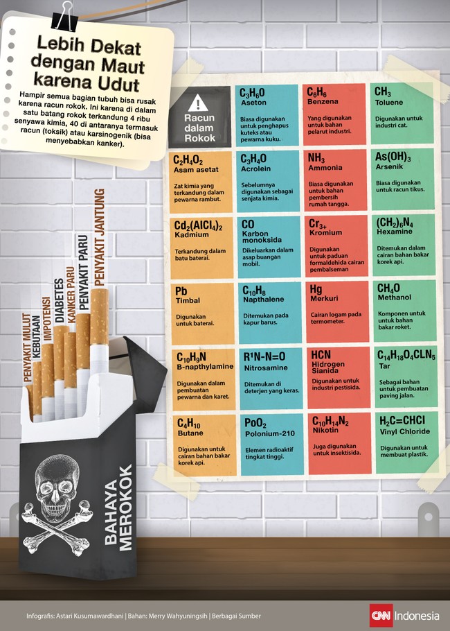 Satu batang rokok mengandung 4 ribu senyawa kimia, 40 di antaranya termasuk racun (toksik) atau karsinogenik (bisa menyebabkan kanker).