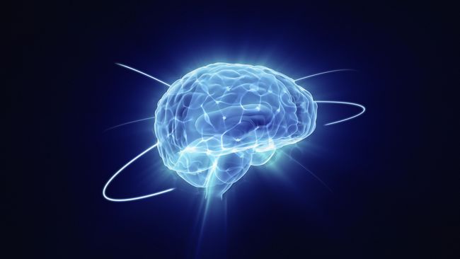 Mengungkap Misteri di Balik Otak Polyglot Di balik kemampuan seorang polyglot menguasai banyak bahasa, ada otak yang bekerja. Penelitian membuktikan seorang polyglot memiliki otak yang berbeda.