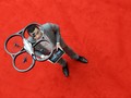 Pakai Drone, Cara 'Curang' Memburu Pokemon
