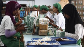 Marak Produk Ilegal, Kepercayaan Industri Rokok Terkontraksi