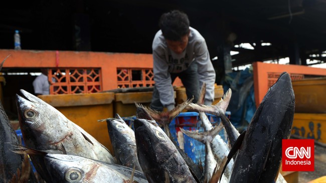 Kulkas senilai Rp 20 miliar tersebut bisa digunakan untuk menyimpan ikan laut hasil tangkapan sebanyak 500 ton.