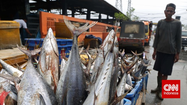 Akibat penanganan pencurian ikan yang tidak benar, sektor kelautan dan perikanan belum memberikan kontribusi pendapatan yang pantas untuk negara.