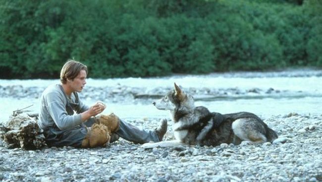 White Fang,&nbsp;kisah karya Jack London, ini sudah beberapa kali difilmkan. Kali ini,&nbsp;Walt Disney Pictures siap menggarap versi barunya.