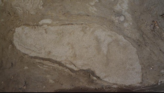 Para peneliti mengatakan manusia purba terdiri dari 36 Neanderthal berjalan di sepanjang pantai sekitar 100 ribu tahun yang lalu.