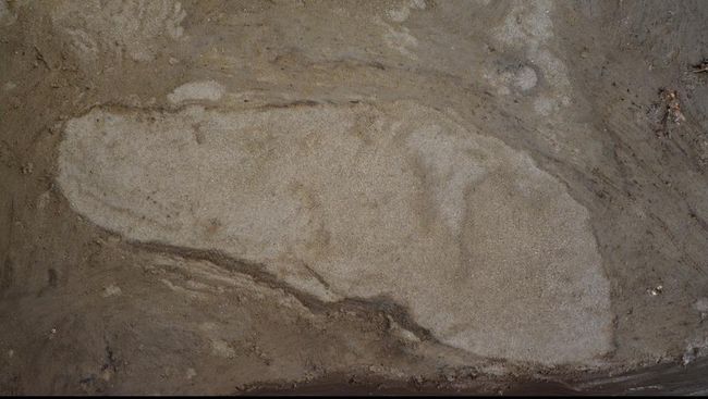 Ahli Ungkap Jejak Neanderthal 100 Ribu Tahun Lalu Para peneliti mengatakan manusia purba terdiri dari 36 Neanderthal berjalan di sepanjang pantai sekitar 100 ribu tahun yang lalu.