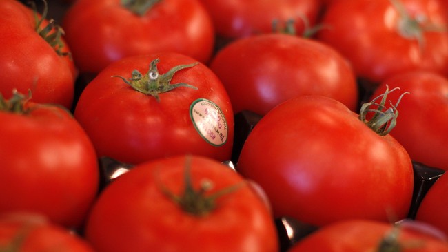 Hama menyebabkan produksi tomat di Nigeria anjlok dan harga menjulang tinggi. Untuk satu buah tomat dihargai setara Rp28 ribu.