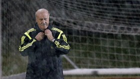 Del Bosque Restui Lopetegui Pelatih Baru Spanyol