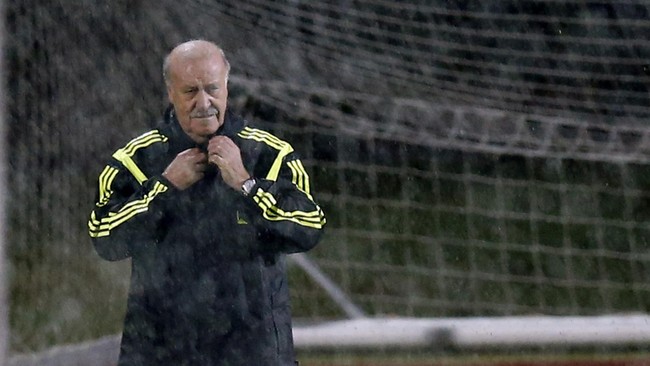 Vincente Del Bosque menyenangi pilihan presiden Federasi Sepak Bola Spanyol memilih mantan pelatih FC Porto sebagai arsitek utama timnas Spanyol.