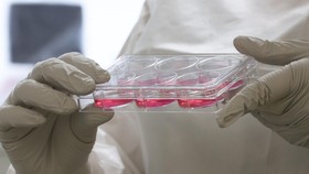 Obat Ebola Mulai Diuji Coba di Afrika Barat