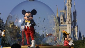 Kuping Mickey Mouse 'Terdampar' di Saco River