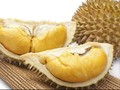 Mengejar Wisatawan dengan Gajah dan Durian