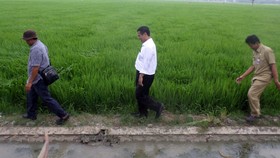 Mentan Risau Jutaan Orang Tinggalkan Pertanian 'Lari' ke ISIS