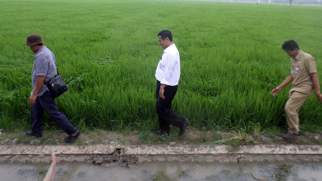 Kementerian Pertanian mencatat  52 persen sistem irigasi nasional rusak dengan potensi lahan yang membutuhkan pengarian seluas 5,2 juta hektar.