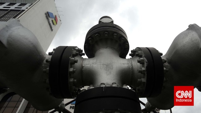 Pertamina diminta tetap menggandeng Total E&amp;P Indonesie dan Inpex Corporation Ltd&nbsp;operator Blok Mahakam sebelumnya.