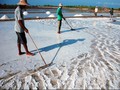 Bebaskan 13 Ribu Hektare Lahan Garam, Kemenperin Turun Tangan