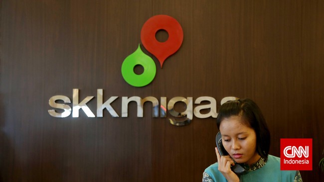 Pemerintah akan membentuk BUMN Khusus Kegiatan Hulu Migas untuk menggantikan peran SKK Migas melalui draf omnibus law RUU Ciptaker.
