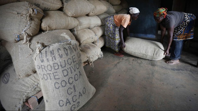 Asosiasi Industri Kakao Indonesia (AIKI) menargetkan produksi 600 ribu ton kakao tahun ini dan menjadi 2 juta ton pada 2020.