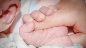 Yang Berbeda dari Program Bayi Tabung saat Pandemi Covid-19
