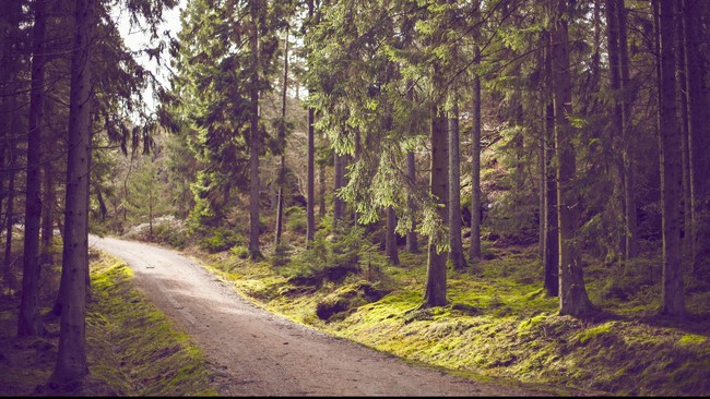 Yang membuat warga heran, di dalam hutan yang katanya taman nasional itu malah ada kegiatan eskplorasi pertambangan.&nbsp;