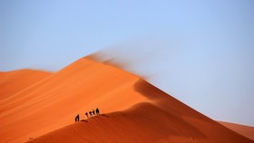 6 Warga Nigeria Tewas di Gurun Sahara, Diduga Kehausan