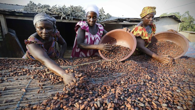 Olam International Ltd, Perusahaan cokelat Singapur, akan membangun pabrik berkapasitas 60 ribu ton di Jabodetabek, dengan skala investasi mencapai US$ 60 juta.