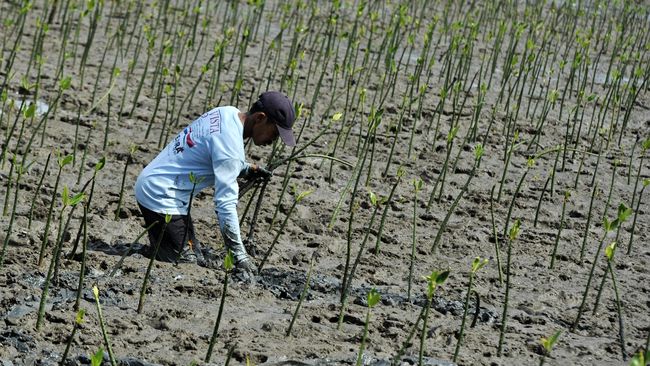 Minim Pemahaman, CSR Perusahaan ASEAN Masih Cari Untung Sebagian perusahaan yang beroperasi di Indonesia, Malaysia, Singapura dan Thailand dinilai memiliki motif keuntungan dalam praktik tanggung jawab sosial.