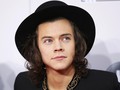 Harry Styles Diincar untuk Biopik Mick Jagger