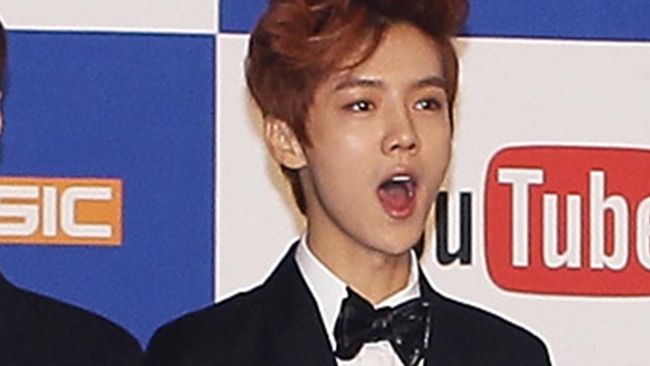 Mantan personel boyband Korea EXO, Luhan terpilih menjadi selebriti paling populer di Tiongkok dari Baidu Moments Conference di Tiongkok.