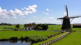 Belanda Selidiki Dugaan Skandal Pengaturan Skor