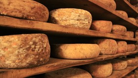 Sibiu dan Aegean Jadi Kota Gastronomi Eropa