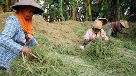 Ketimpangan Tinggi, Desa Terancam Ditinggal Penduduk