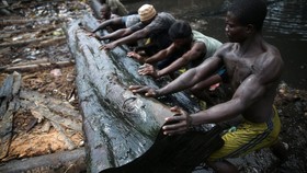 Kayu, Sumber Energi Warga Miskin Nigeria