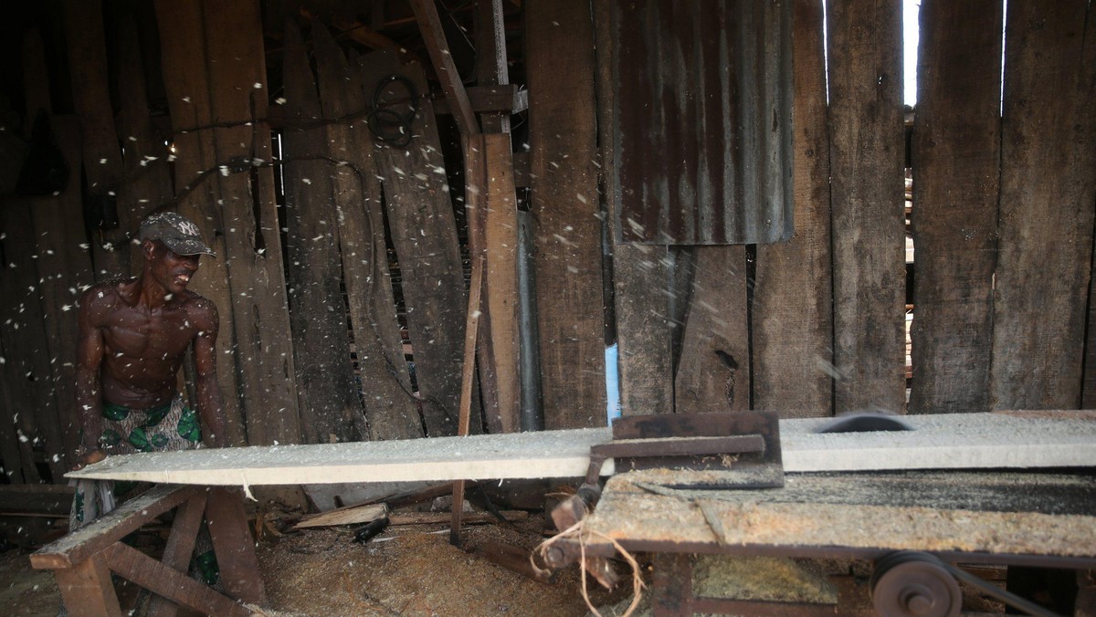 Kayu, Sumber Energi Warga Miskin Nigeria