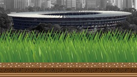Infografis Membedah Rumput Asli dan Artifisial