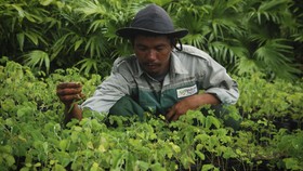 Djarum Tetap Produksi Meski Kudus Terapkan 5 Hari di Rumah