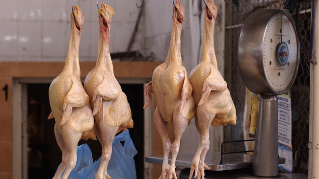 Hampir tiga perempat ayam segar yang dijual di Inggris mengandung racun makanan berbahaya dan pedagang tak lakukan tindakan cukup untuk atasi masalah ini.