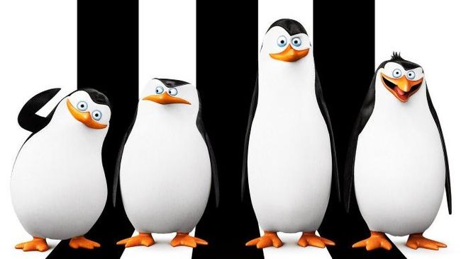 Film ini mengisahkan empat kawanan penguin, Skipper (Tom McGrath), Kowalski (Chris Miller), Rico (Conrad Vernon), serta Private (Christopher Knights).&nbsp;