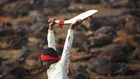 Kuil Nepal Larang Festival Kurban Hewan 5 Tahunan