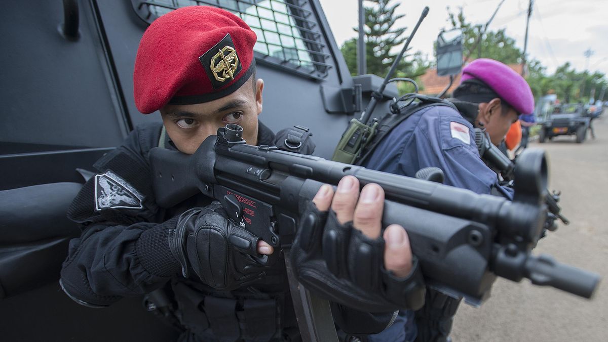 Deret Pasukan Elite yang Dimiliki Tentara Indonesia