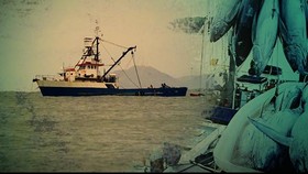 Izin Usaha PT Pusaka Benjina Resources Terancam Dicabut