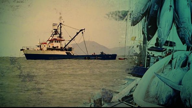 Kapal ikan Oryong-501 seberat 1.753 ton tenggelam di barat Laut Bering pada Senin (1/12), sebanyak 16 ABK WNI belum ditemukan hingga kini.