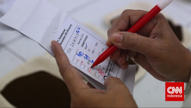 Dana baru tersebut juga dibutuhkan untuk meningkatkan kapasitas pembayaran kelompok usaha PTPN melalui peningkatan kinerja.
