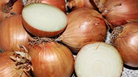 Manfaat Bawang Bombay dan Risiko Jika Dikonsumsi Berlebih