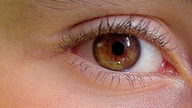 Cara Kerja Mata Manusia dan Kebiasaan untuk Cegah Gangguan Penglihatan