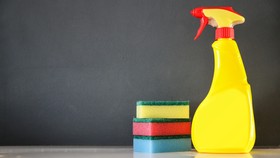 Studi Temukan Spons Dapur Bekas Mengandung Bakteri Setara Feses