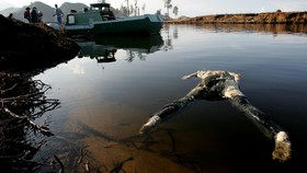 BNPB: Indonesia Kekurangan Sirene dan Alat Deteksi Tsunami