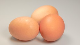 Alasan Selalu Dapat Telur & Kacang Hijau Usai Donor Darah